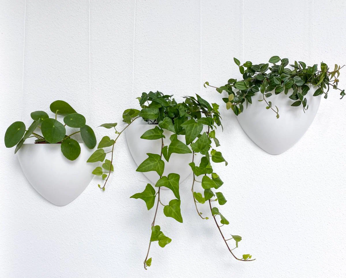 Kit Cache-pot de fleurs suspendu Blanc - suspension de Jardinière Botaniq Artiteq - Image 8